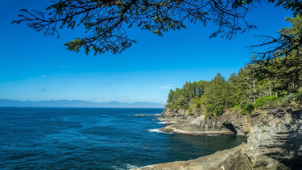 A coastal landscape with a rocky cliff, dense forest, and a clear blue sea under a bright sky.