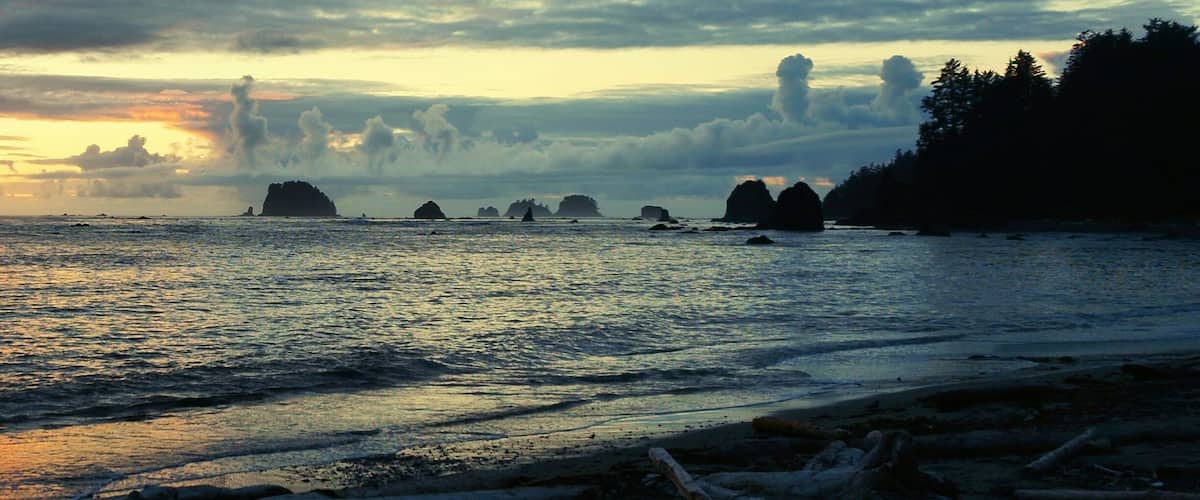 Depending on your timeline and eagerness to get to the beach, you can take one of two approaches,  to Sand Point for this view on the Washington coast. Those taking the quickest route only have a 3 mile jaunt on mostly raised boardwalk before you start to smell and hear the ocean. Along the beach you can find the perfect campsitesite, whether that be right on the sand or set further back in the trees where you can pretend to have the place to yourself. #weekendgetaway #Bestof5