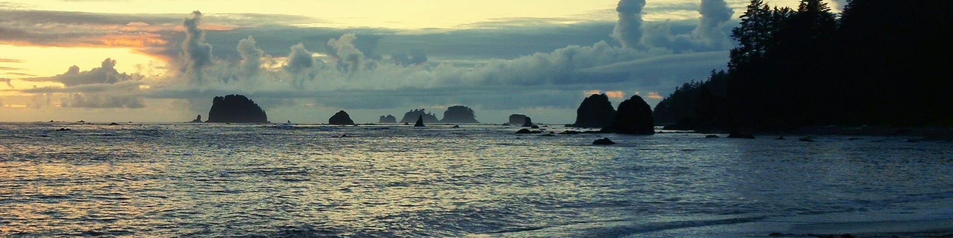 Depending on your timeline and eagerness to get to the beach, you can take one of two approaches,  to Sand Point for this view on the Washington coast. Those taking the quickest route only have a 3 mile jaunt on mostly raised boardwalk before you start to smell and hear the ocean. Along the beach you can find the perfect campsitesite, whether that be right on the sand or set further back in the trees where you can pretend to have the place to yourself. #weekendgetaway #Bestof5