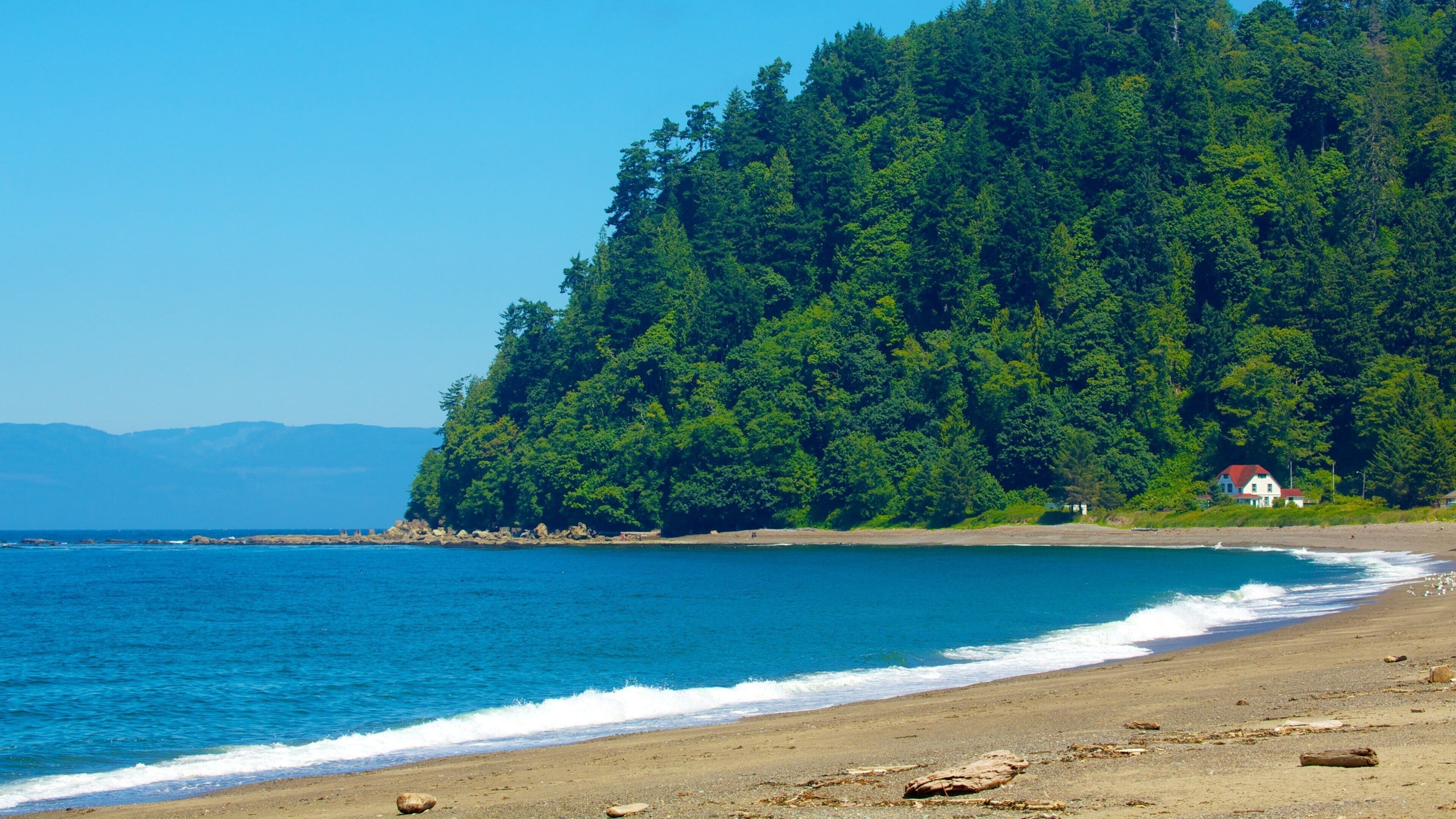 A beach with a forested hillside, ocean waves, and a small house.
