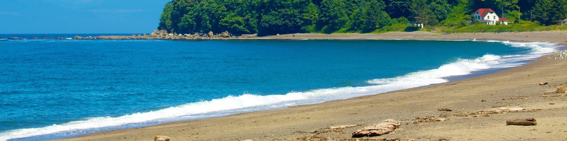 A beach with a forested hillside, ocean waves, and a small house.