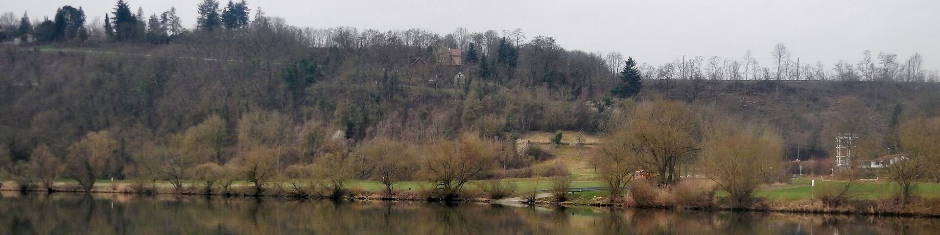 Ausblick vom 366 km langen Neckartalradweg bei Offenau