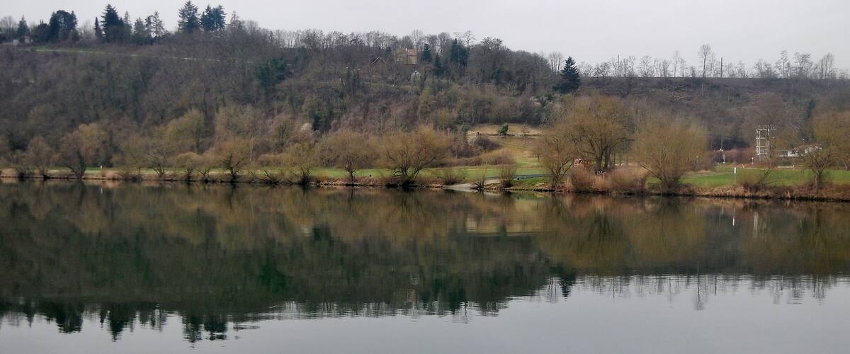 A calm lake with reflections of trees and a distant hill.