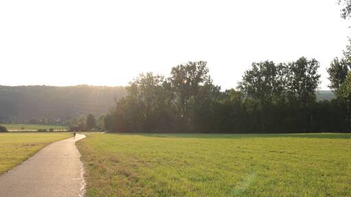 (NSG:BW-2.210)_Mauermer und Bammentaler Elsenztal