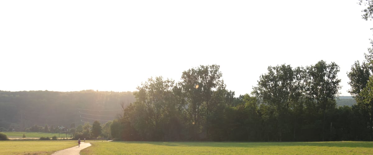 A rural path winding through a grassy field with trees on one side and a hill in the distance.
