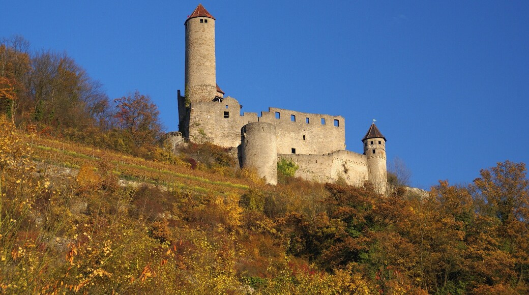 Burg Hornberg 10/2010