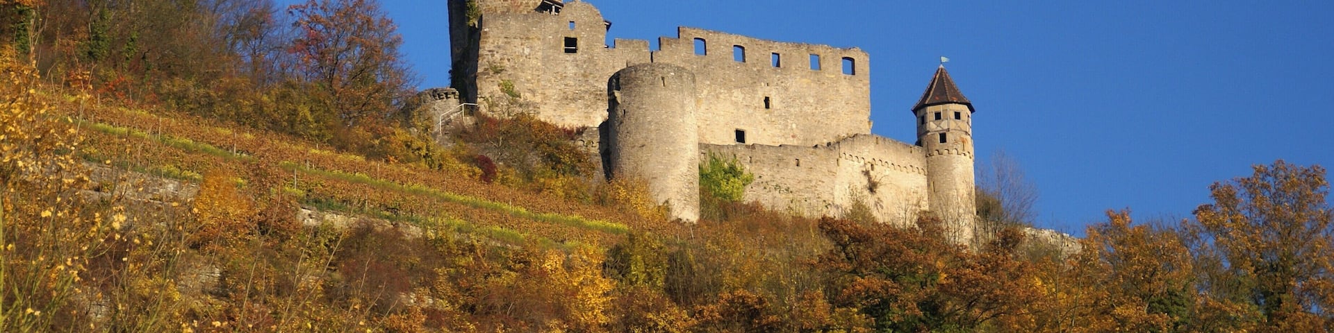 Burg Hornberg 10/2010
