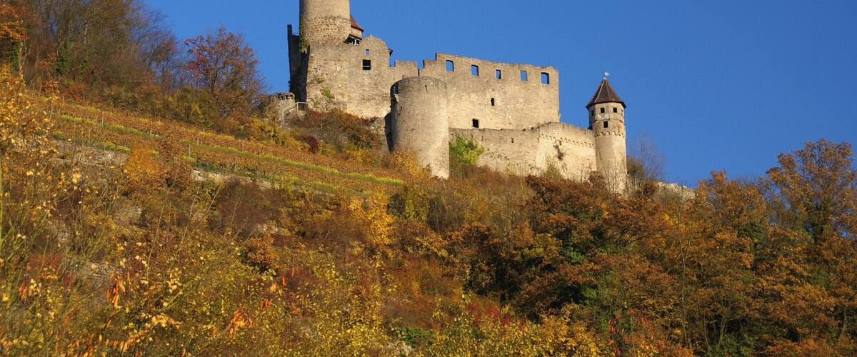 A medieval castle with two towers, surrounded by autumn foliage and a clear blue sky.