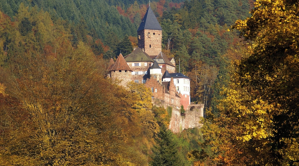 Schloss Zwingenberg 10/2010