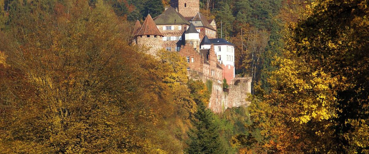 A castle on a hill surrounded by autumn foliage.