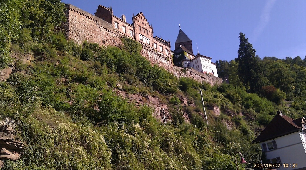 Zwingenberg, Germany