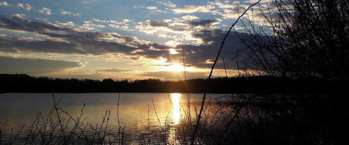 A sunset over a calm lake with scattered clouds and silhouetted trees.