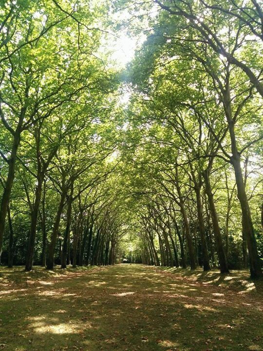 This stunning aisle!