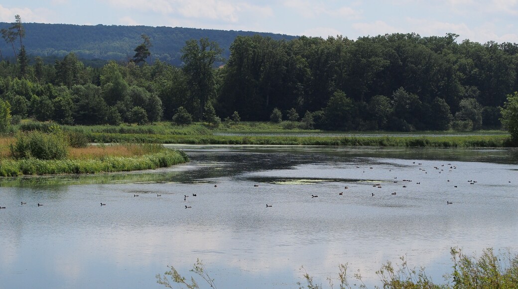 "Stockmühle" dam lake with near-natural islands and shores
