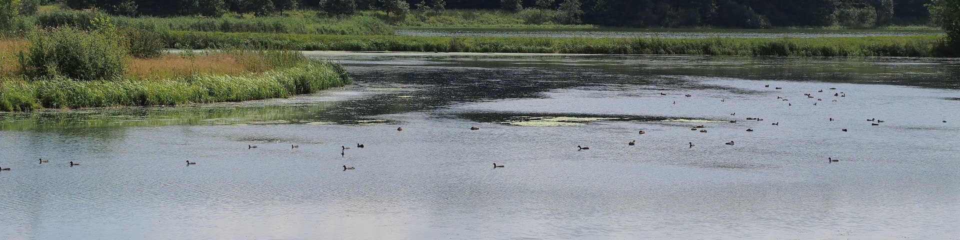 "Stockmühle" dam lake with near-natural islands and shores