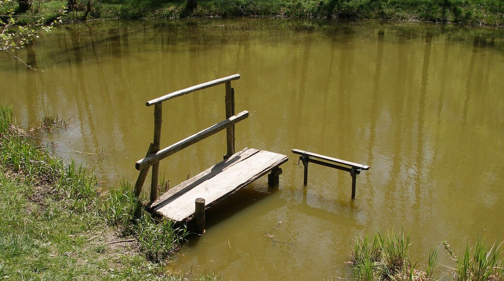 Der Jägerwiesenteich Westhausen, Deutschland. April 2012.