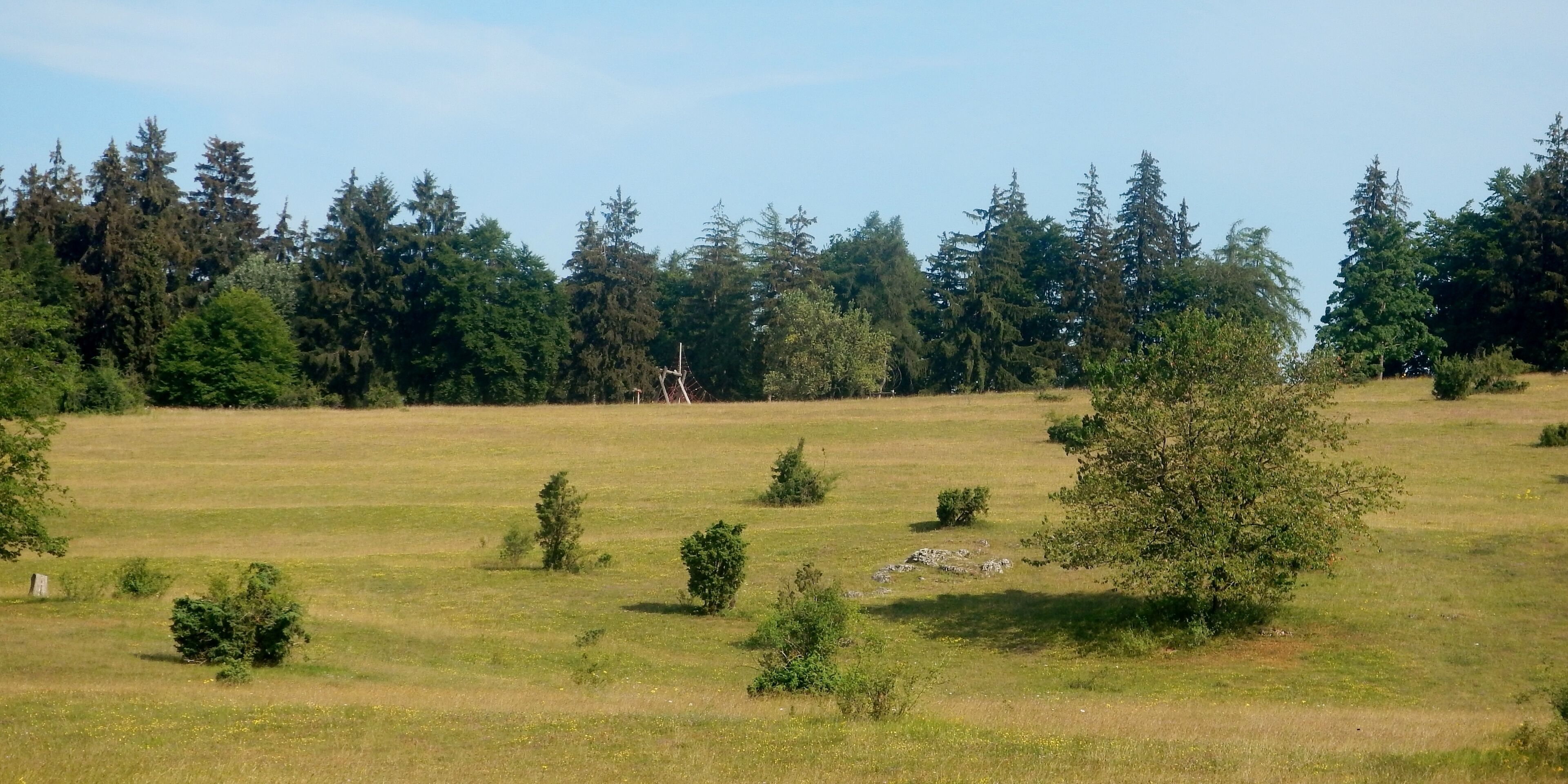 Heide und Felsen zwischen Aufhausen und Bopfingen