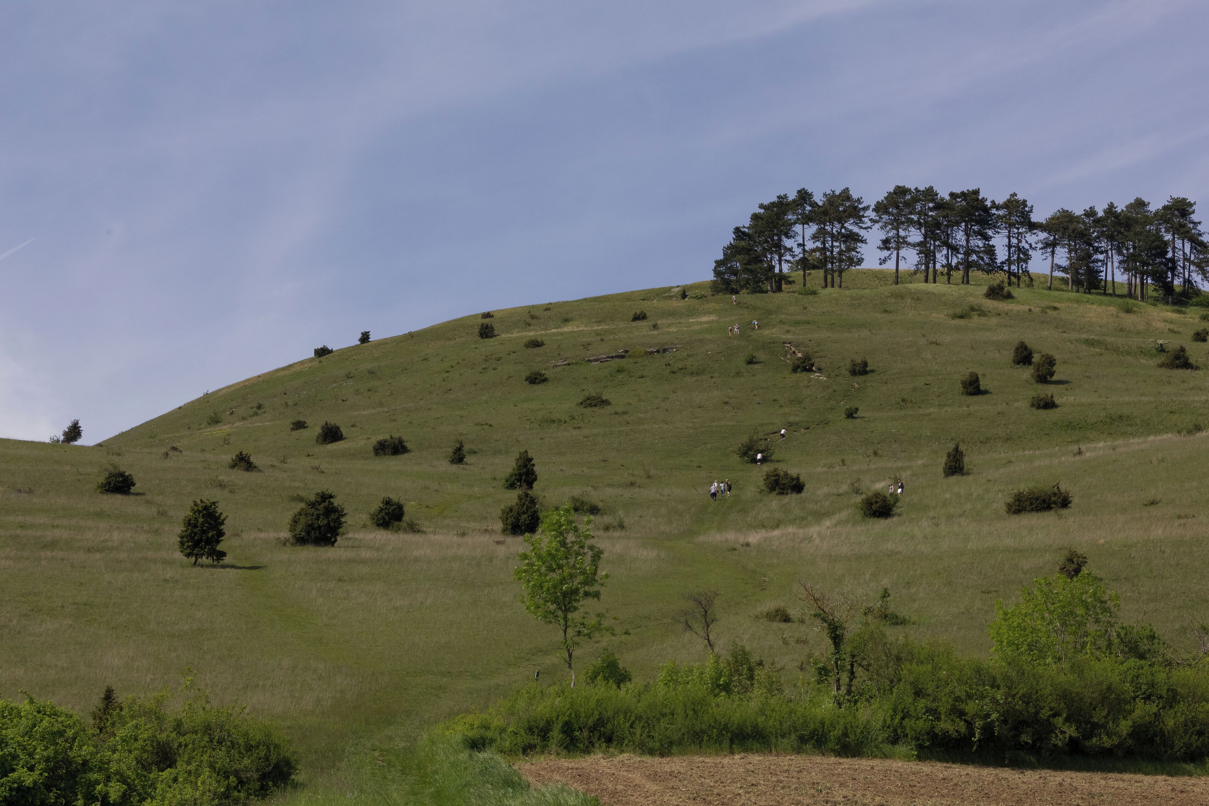 Personen erklimmen den Ipf bei Bopfingen.