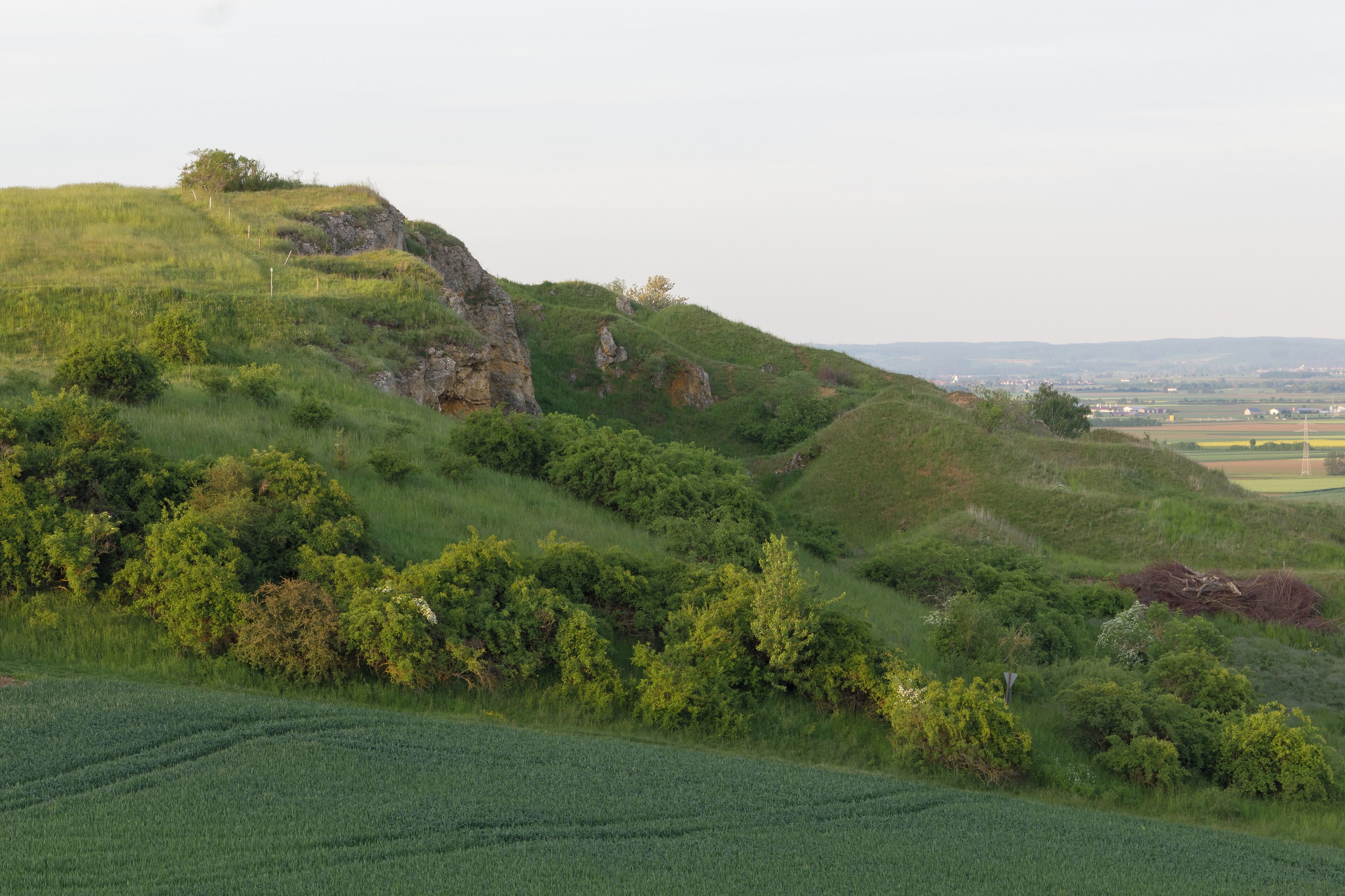 Dominante Südfront des Naturschutzgebietes Goldberg bei Pflaumloch nahe Bopfingen.
