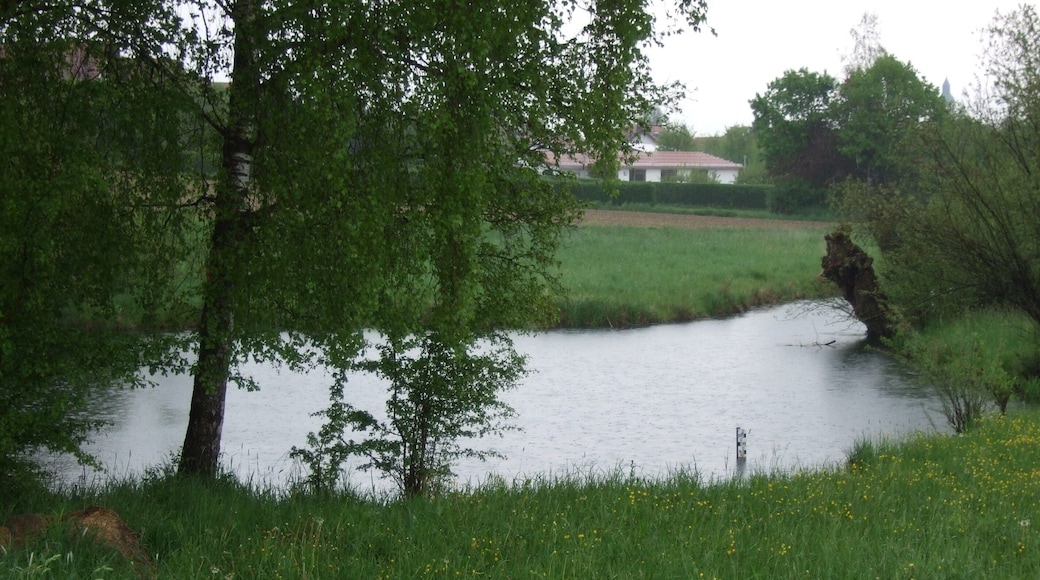 Der Nau Ursprung in Langenau