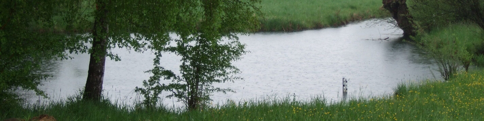 Der Nau Ursprung in Langenau