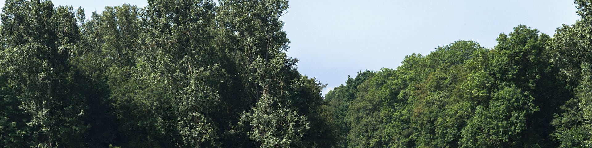 Naturschutzgebiet „Steiner Wald von Nordheim“ (NSG 1431013) in Biblis: Man sieht auch den Hessischer Radfernweg R6 und das Hinweisschild "Naturschutzgebiet".