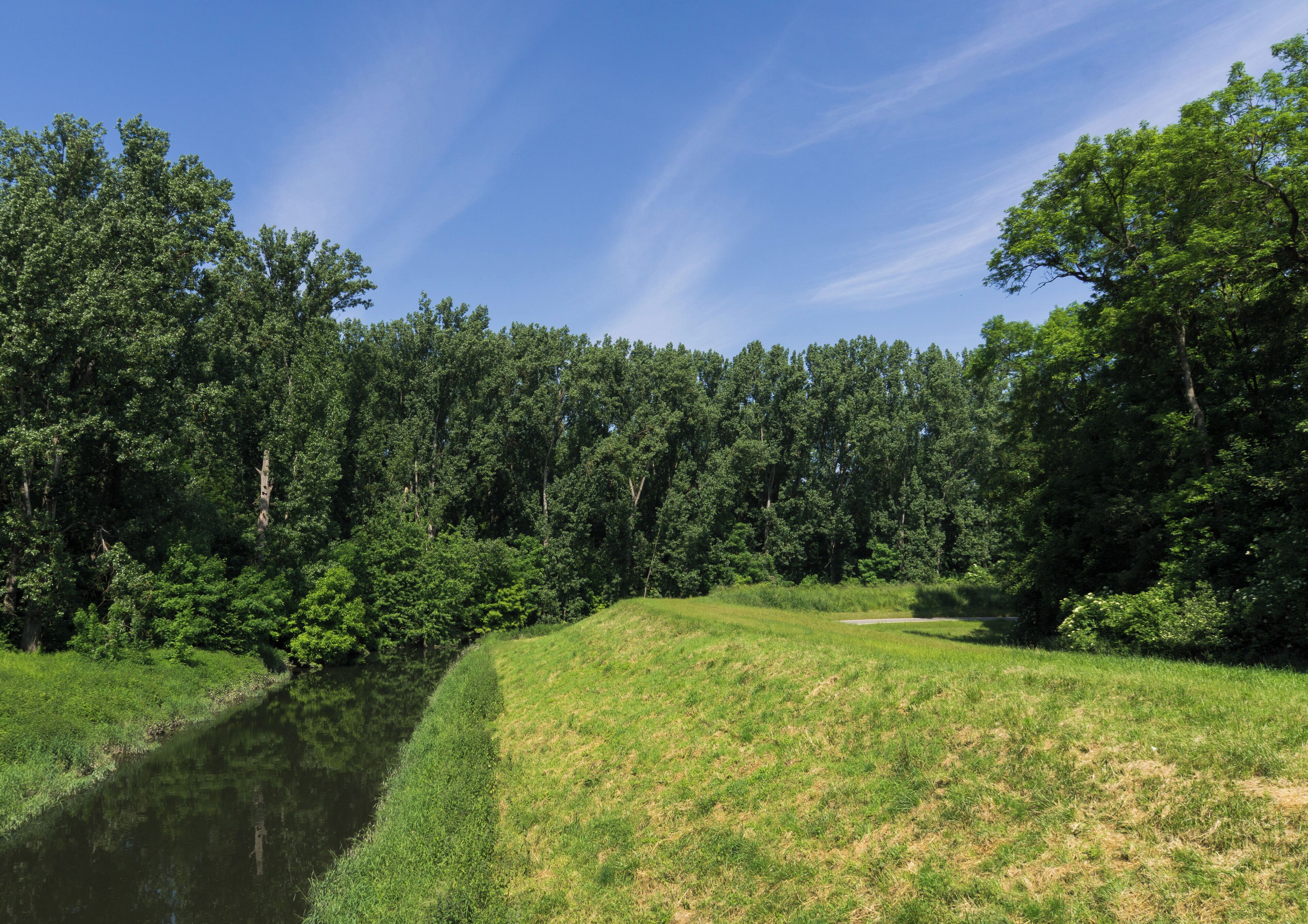 Naturschutzgebiet „Steiner Wald von Nordheim“ (NSG 1431013) in Biblis: Blick von der Betonbrücke über die Weschnitz in Richtung Rhein (hinter den Bäumen).