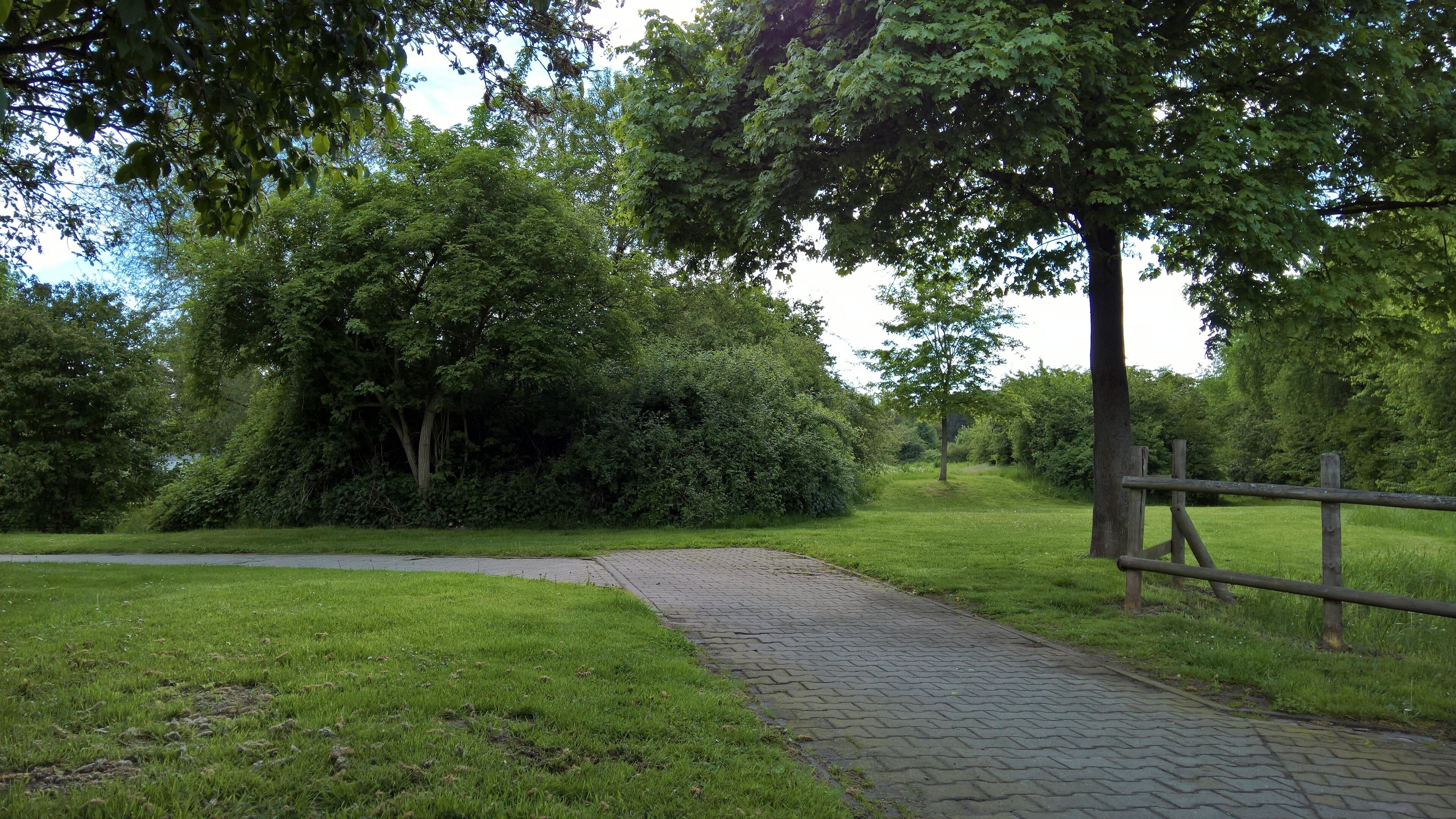 A paved path in a park with lush greenery and trees.