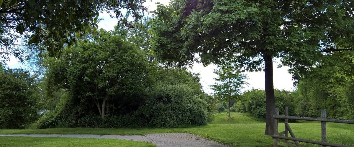A paved path in a park with lush greenery and trees.