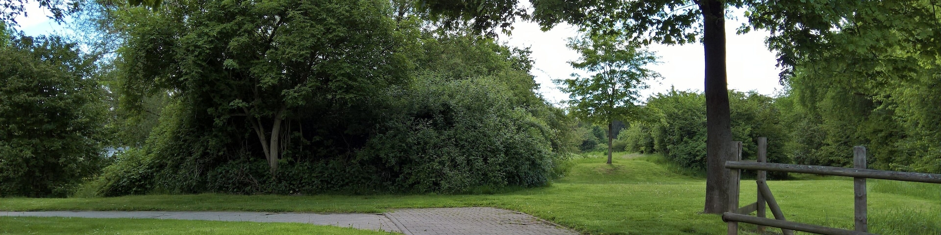 A paved path in a park with lush greenery and trees.