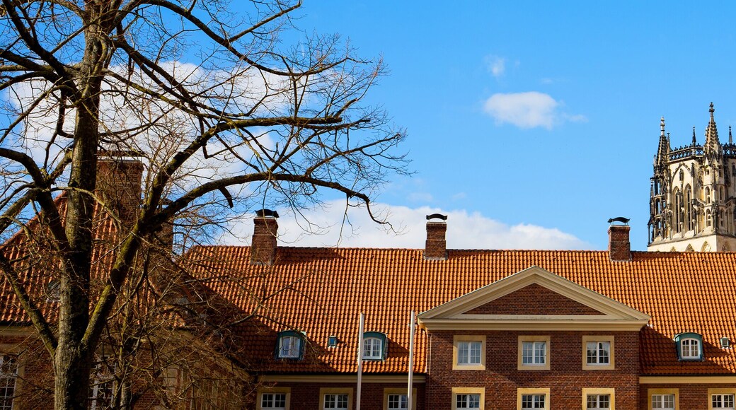 Muenster historic cityscape in germany panorama