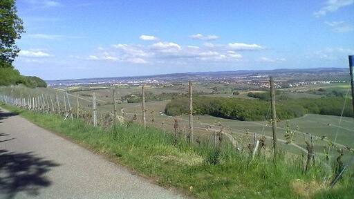 Blick vom Heuchelberg