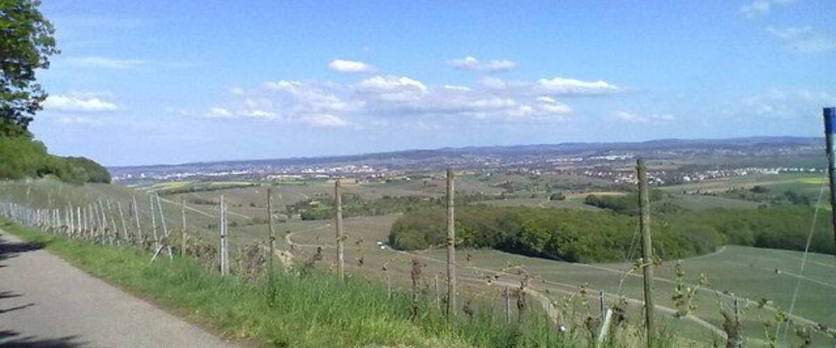 A rural road with a fence on one side and a view of a distant town.