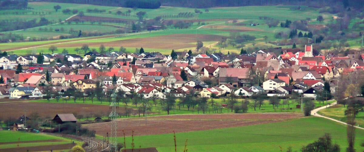 A rural village with red-roofed houses, surrounded by green fields and a forested hill in the background.