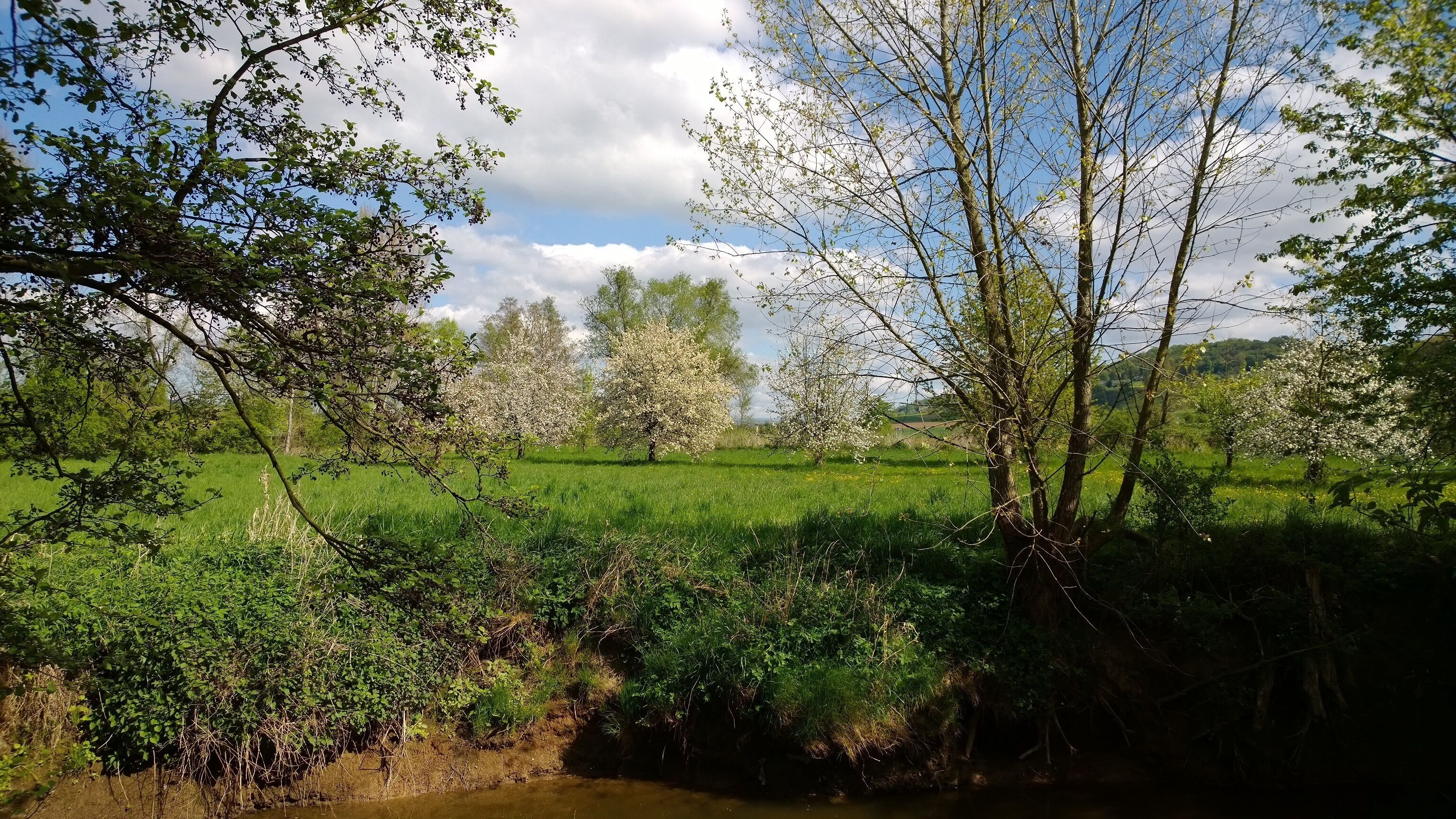Blick auf die Nidderinsel mit der wahrscheinlichen Lage der abgegangenen Wasserburg