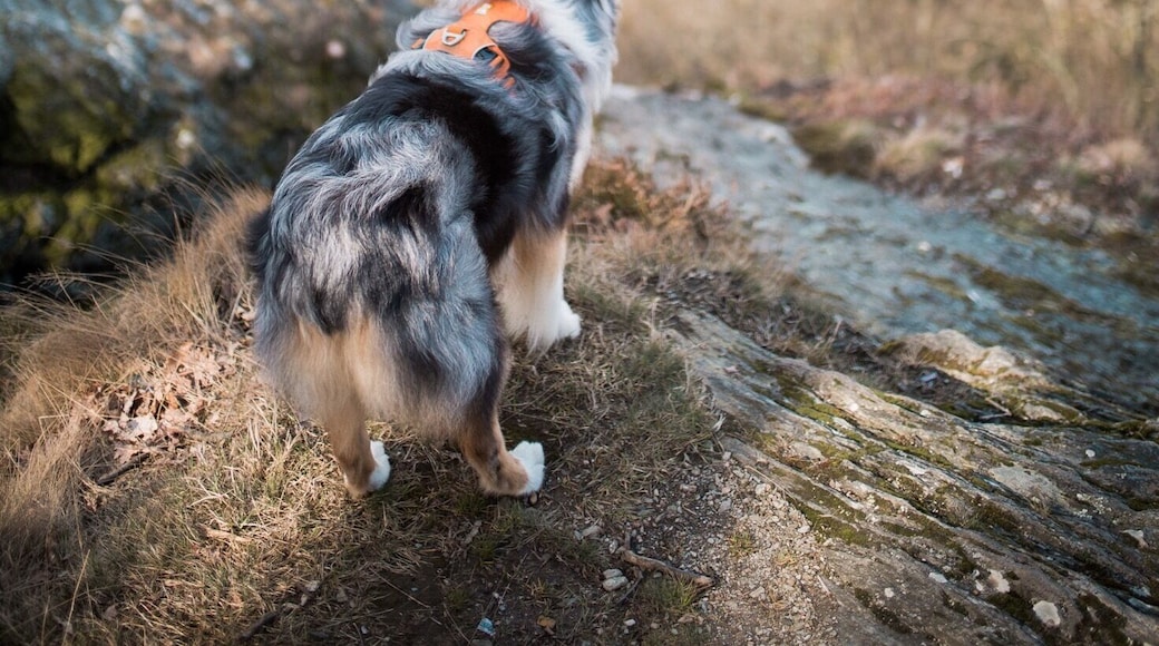 The best view comes after the hardest climb ⛰