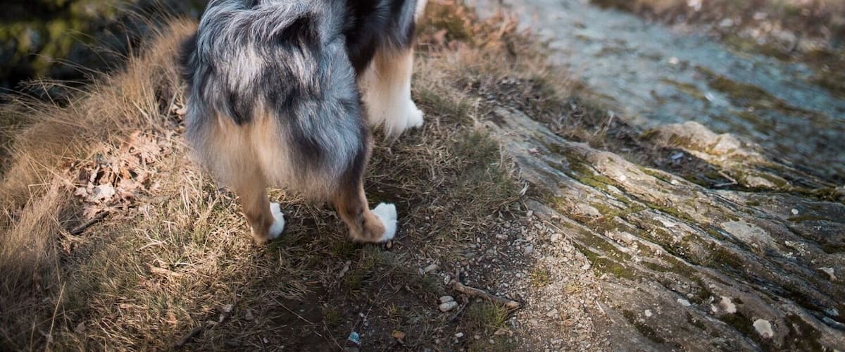 The best view comes after the hardest climb ⛰