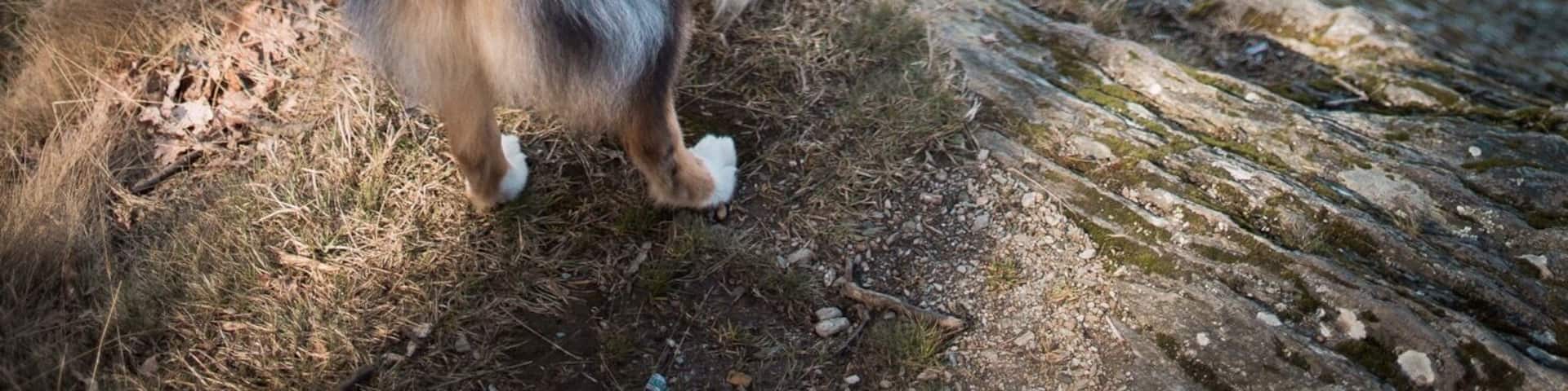 The best view comes after the hardest climb ⛰