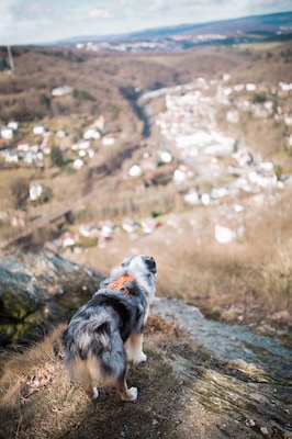 The best view comes after the hardest climb ⛰