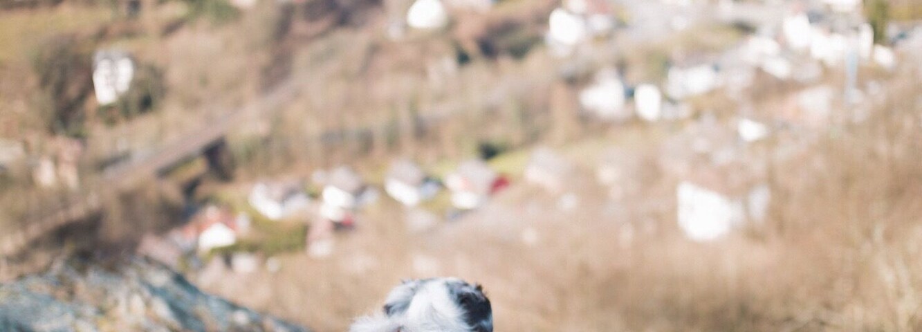 The best view comes after the hardest climb ⛰