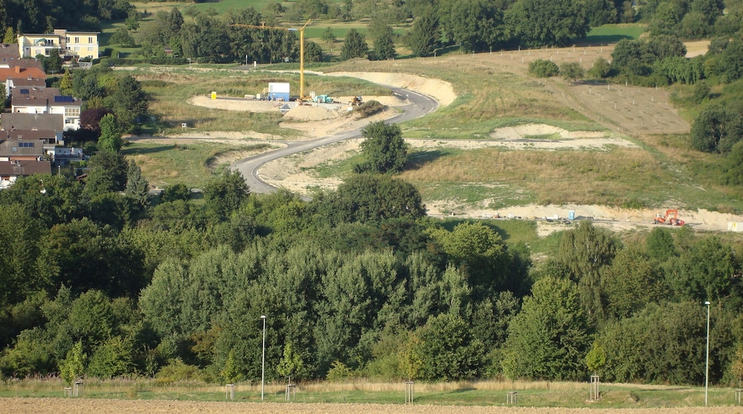 Niederjosbach Neubaugebiet, August 2013