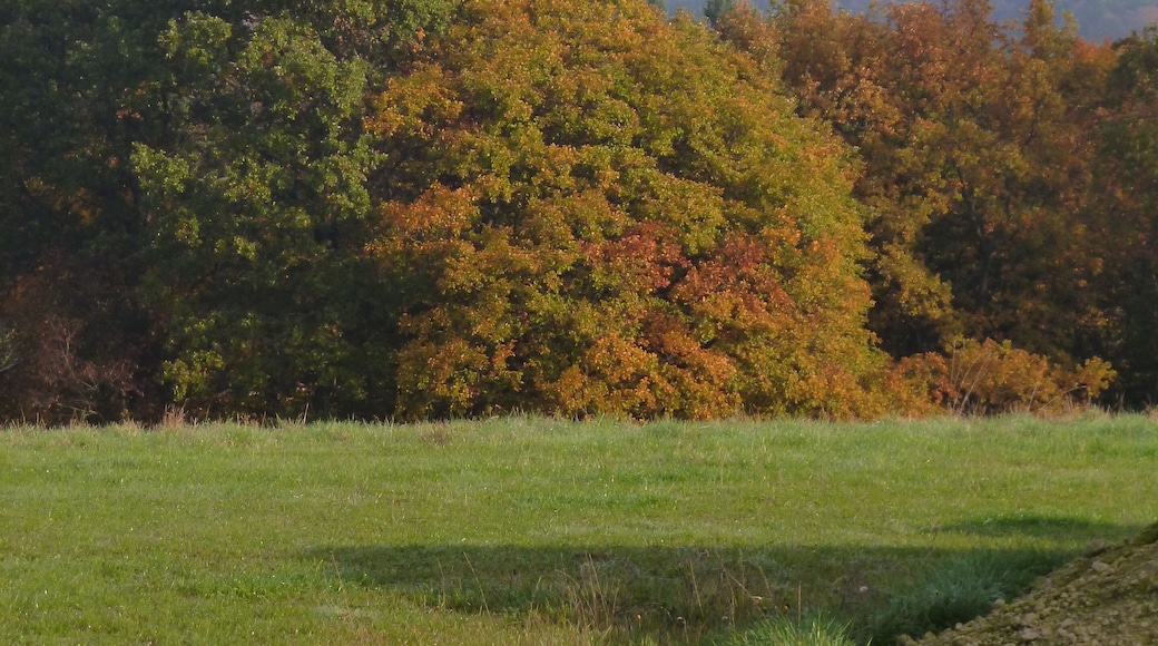 Blick Richtung Eppenhain mit neuem Atzelbergturm (links) Okt. 2012