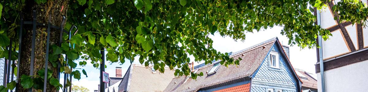 place with lime tree in kronberg im taunus