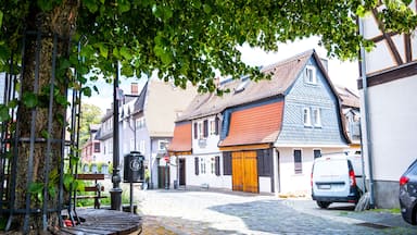 place with lime tree in kronberg im taunus