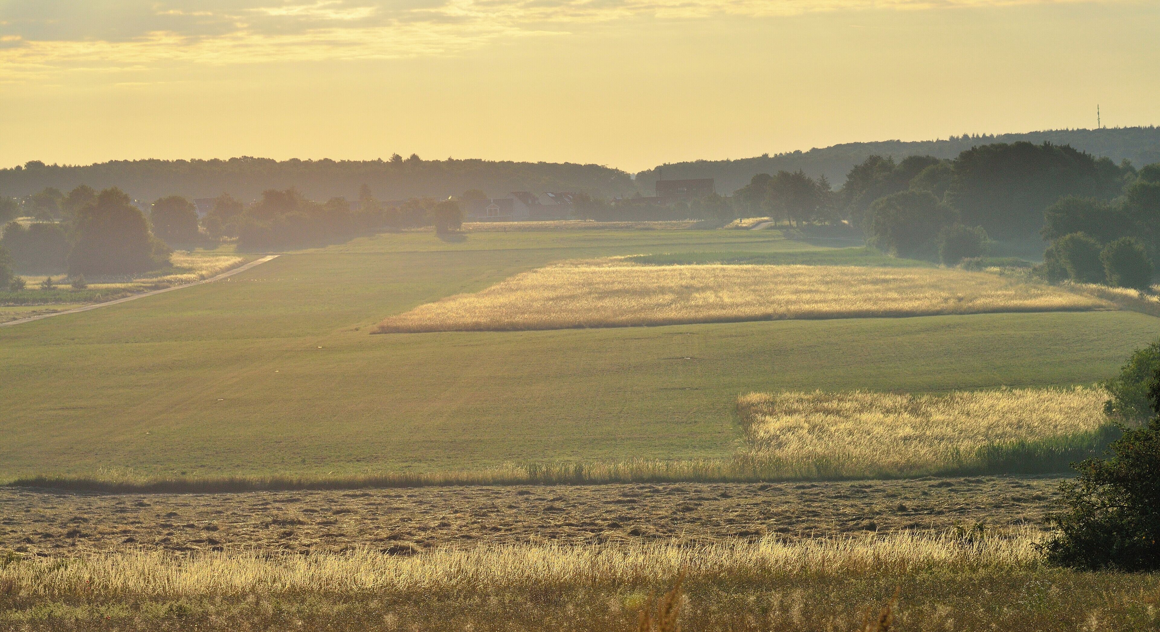 Malscher Aue in der Morgensonne