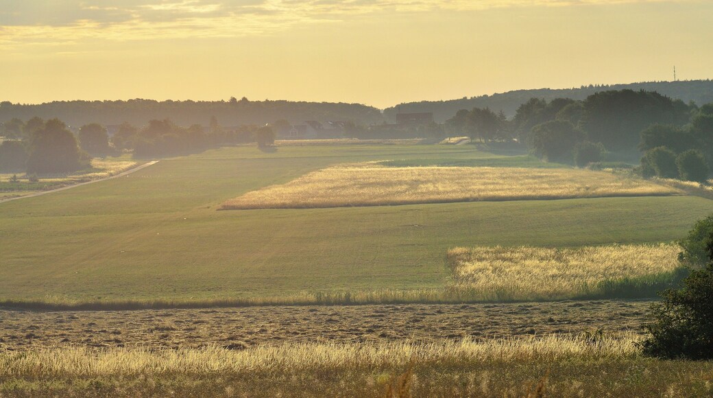 Malscher Aue in der Morgensonne