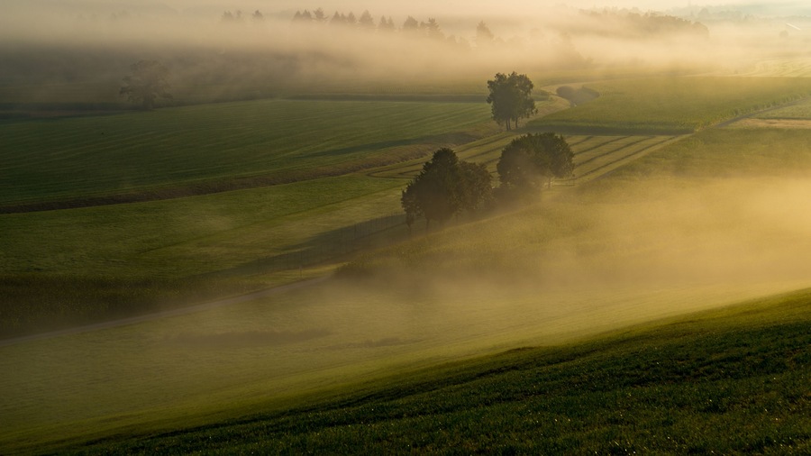 Morgenstimmung