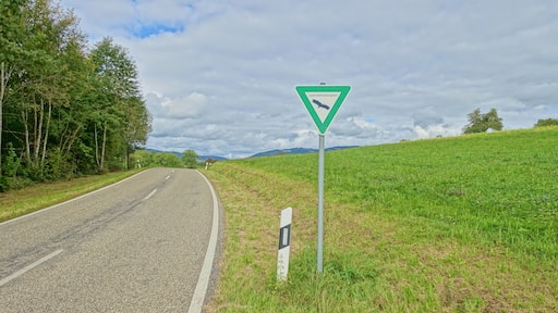 Landschaftsschutzgebiet mit weitläufigen, durch den Wechsel von Feldhecken, Feldgehölzen und eingestreuten Äckern reich strukturierten Kulturlandschaft, der Hochflächen aus zumeist mageren Weiden und Wiesen, insbesondere Trockenrasen, Glatthaferwiesen sowie Streuobstwiesen und artenreiche Tier- und Pflanzenwelt.