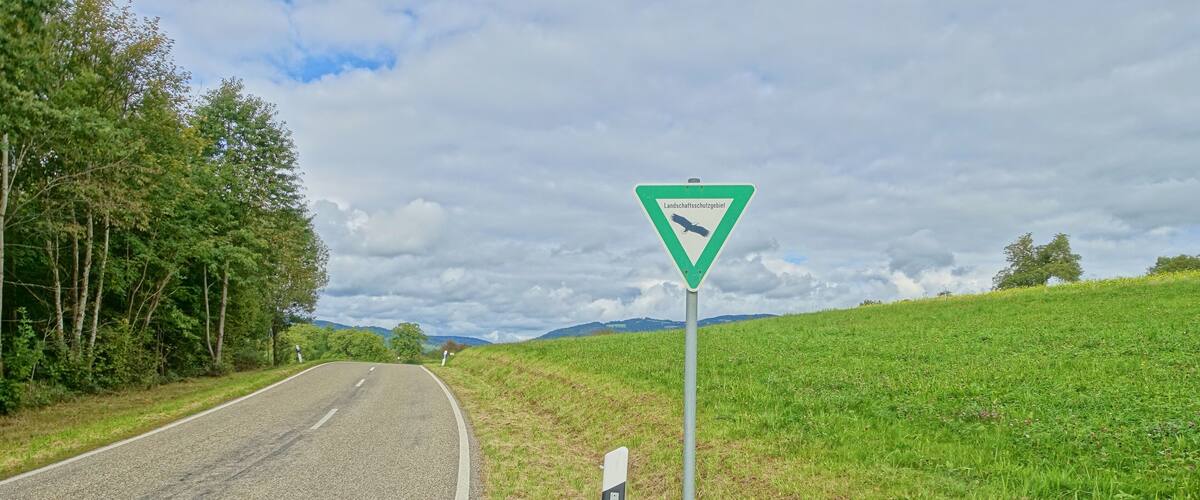 A rural road with a green triangular warning sign indicating a sharp bend to the right.