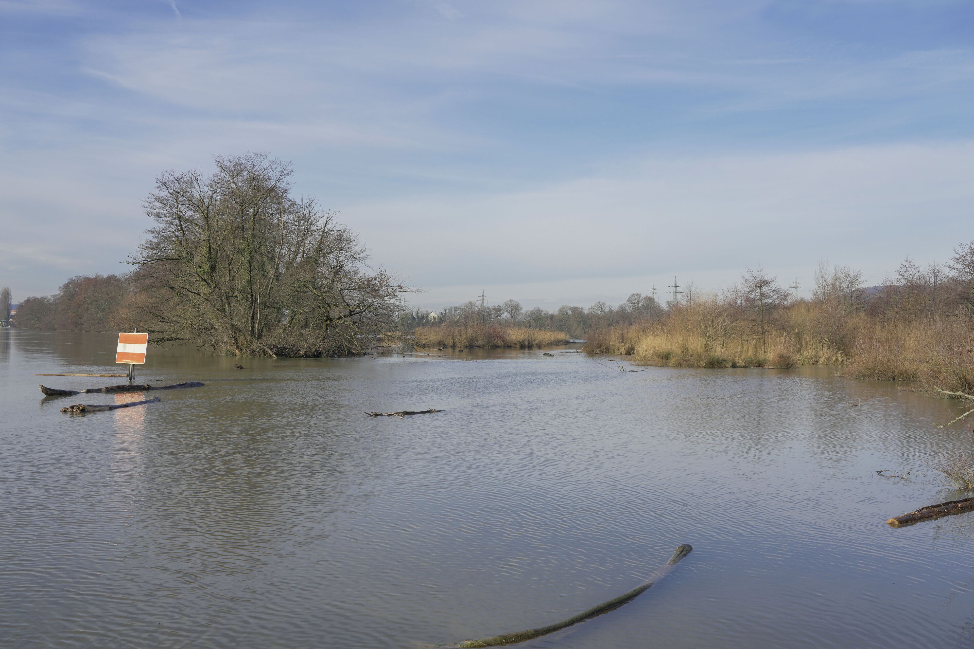 Naturschutzgebiet Altrhein Wyhlen